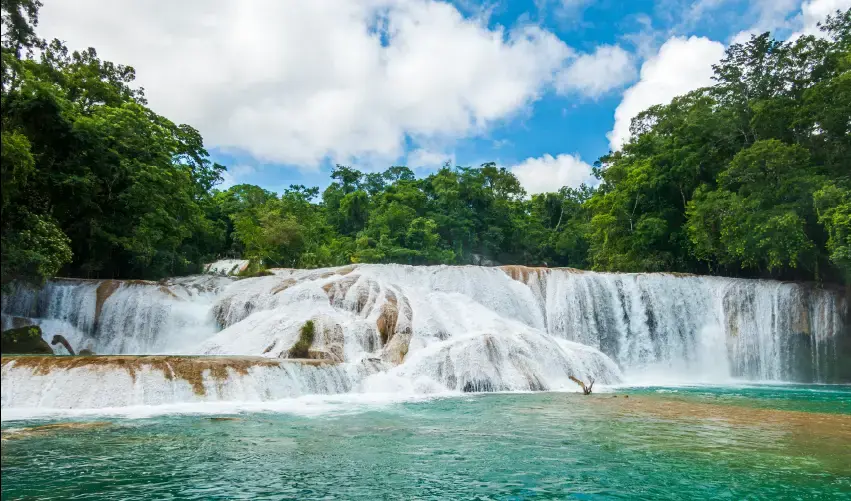Viaje viaje-palenque-merida-tvg-1736