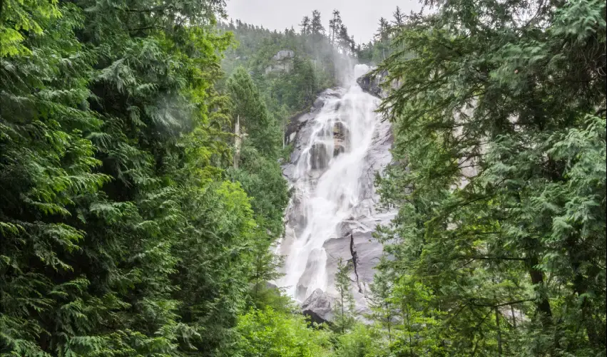Viaje viaje-canada-vancouver-tvg-4582