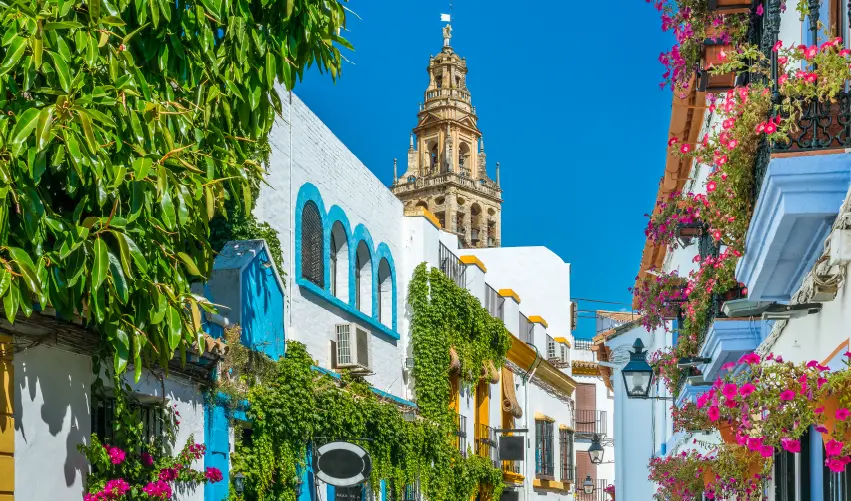 Viaje viaje-europa-espana-madrid-sevilla-granada-valencia-barcelona-5039