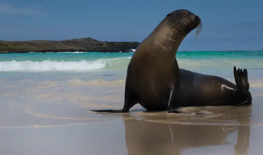 Viaje ecuador-galapagos-tvg-5572